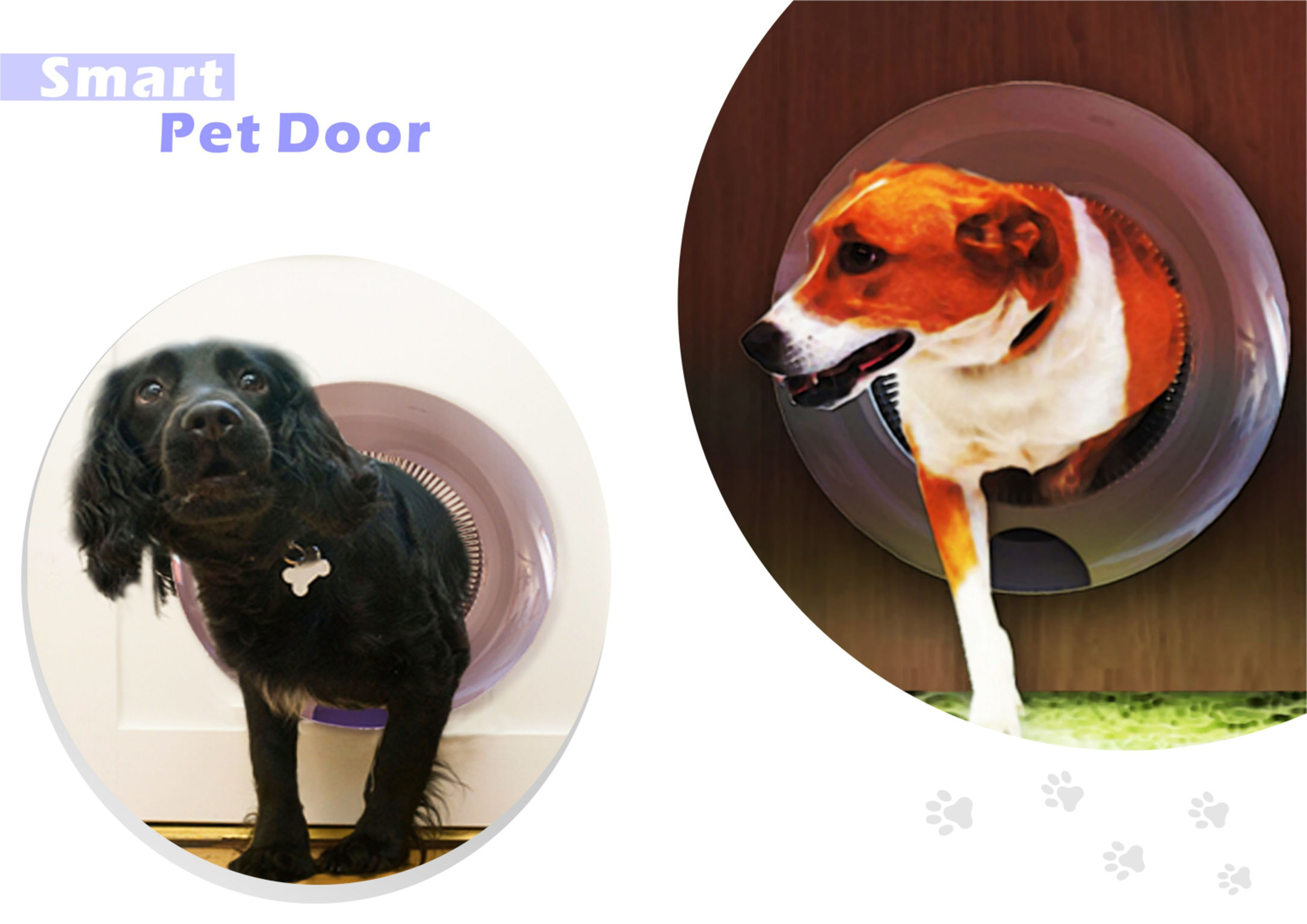 Smart Pet Door