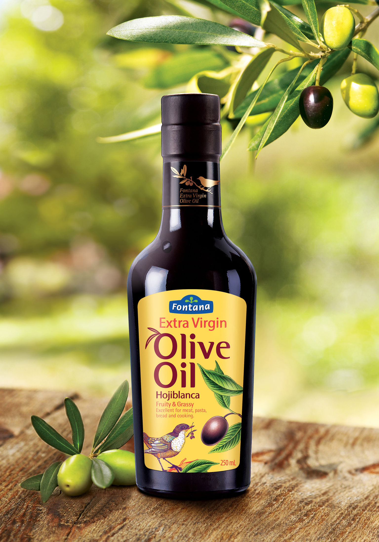 Fontana Olive Oil