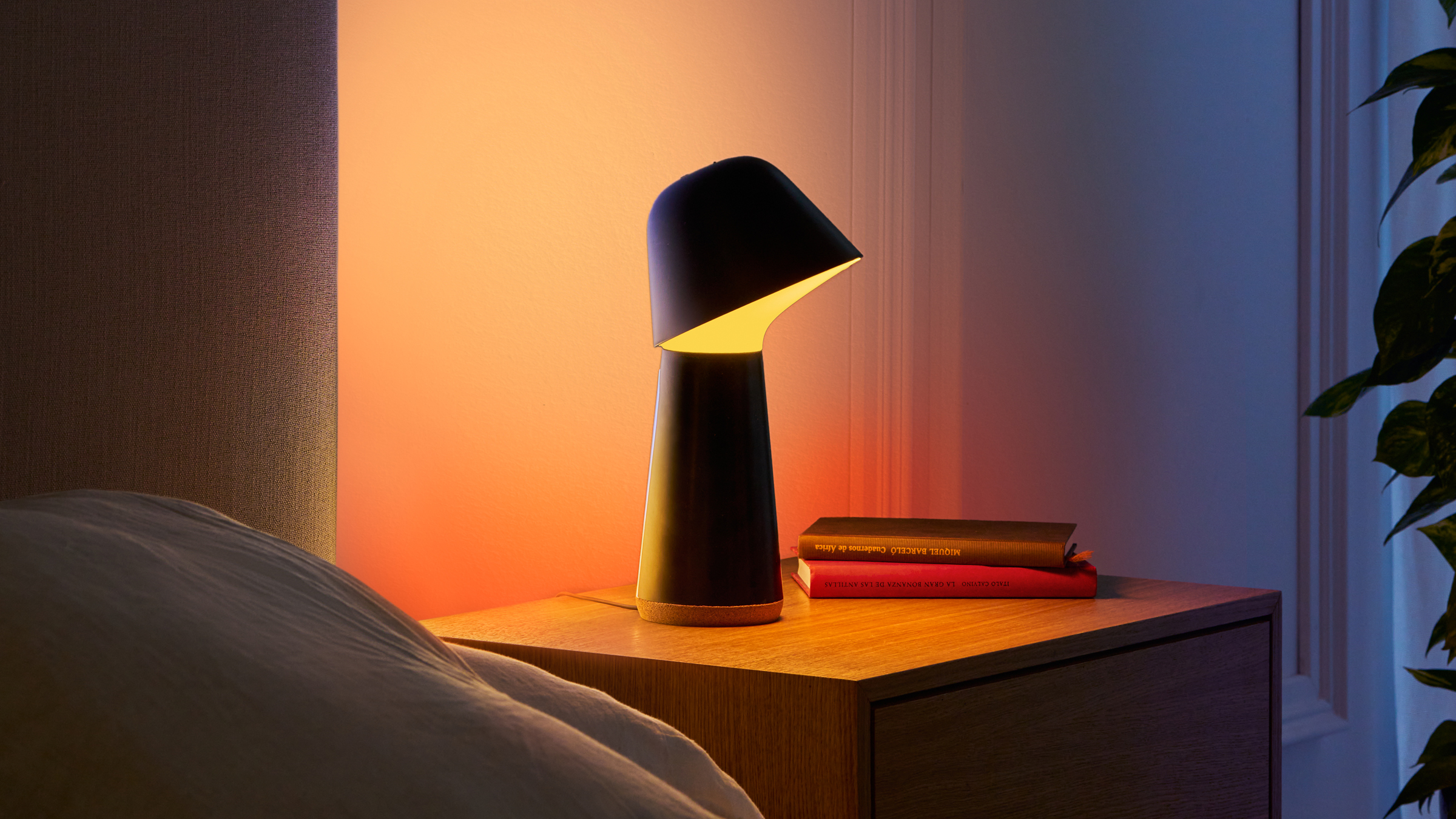 Philips Hue Twilight Sleep and wake-up light