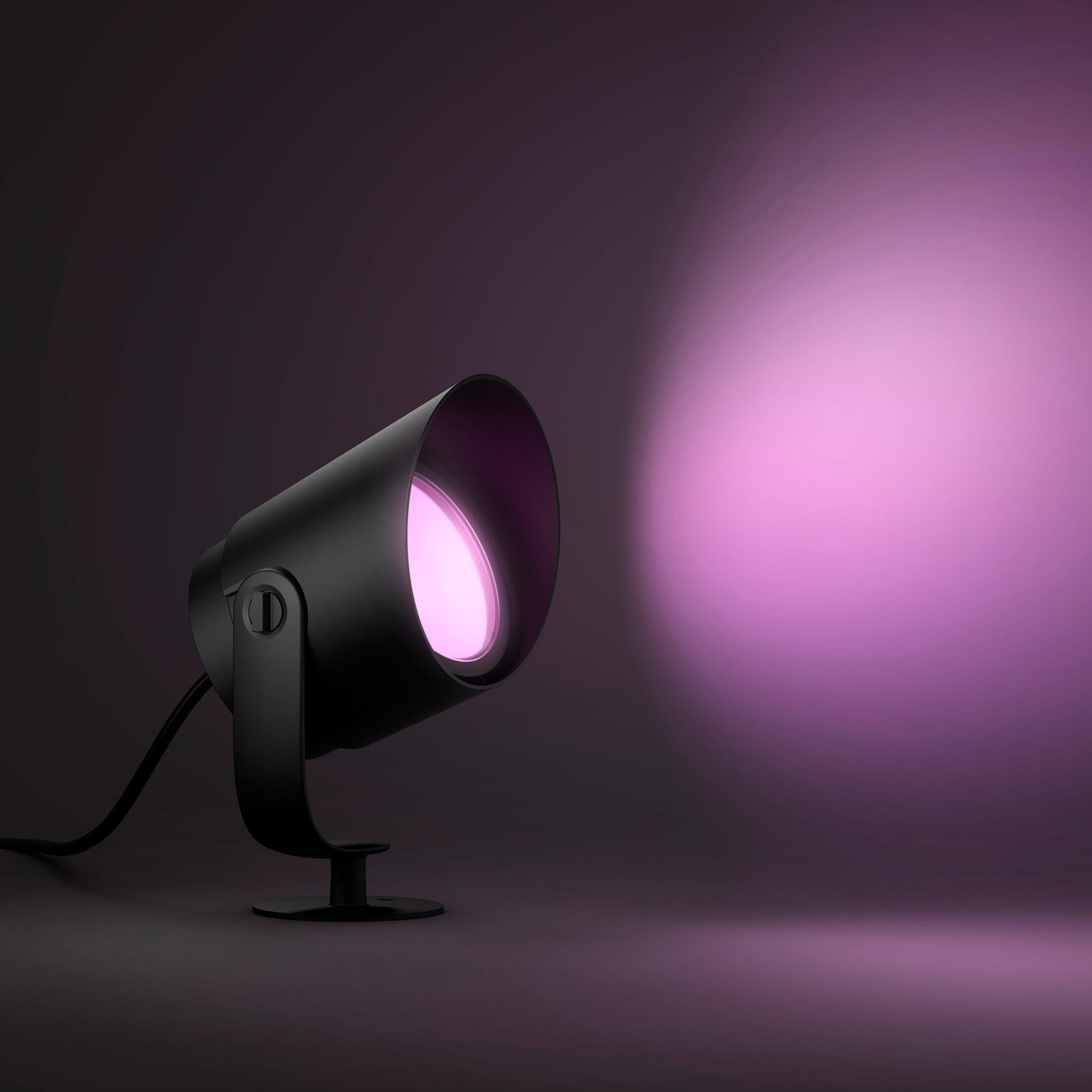 Philips Hue Lily XL