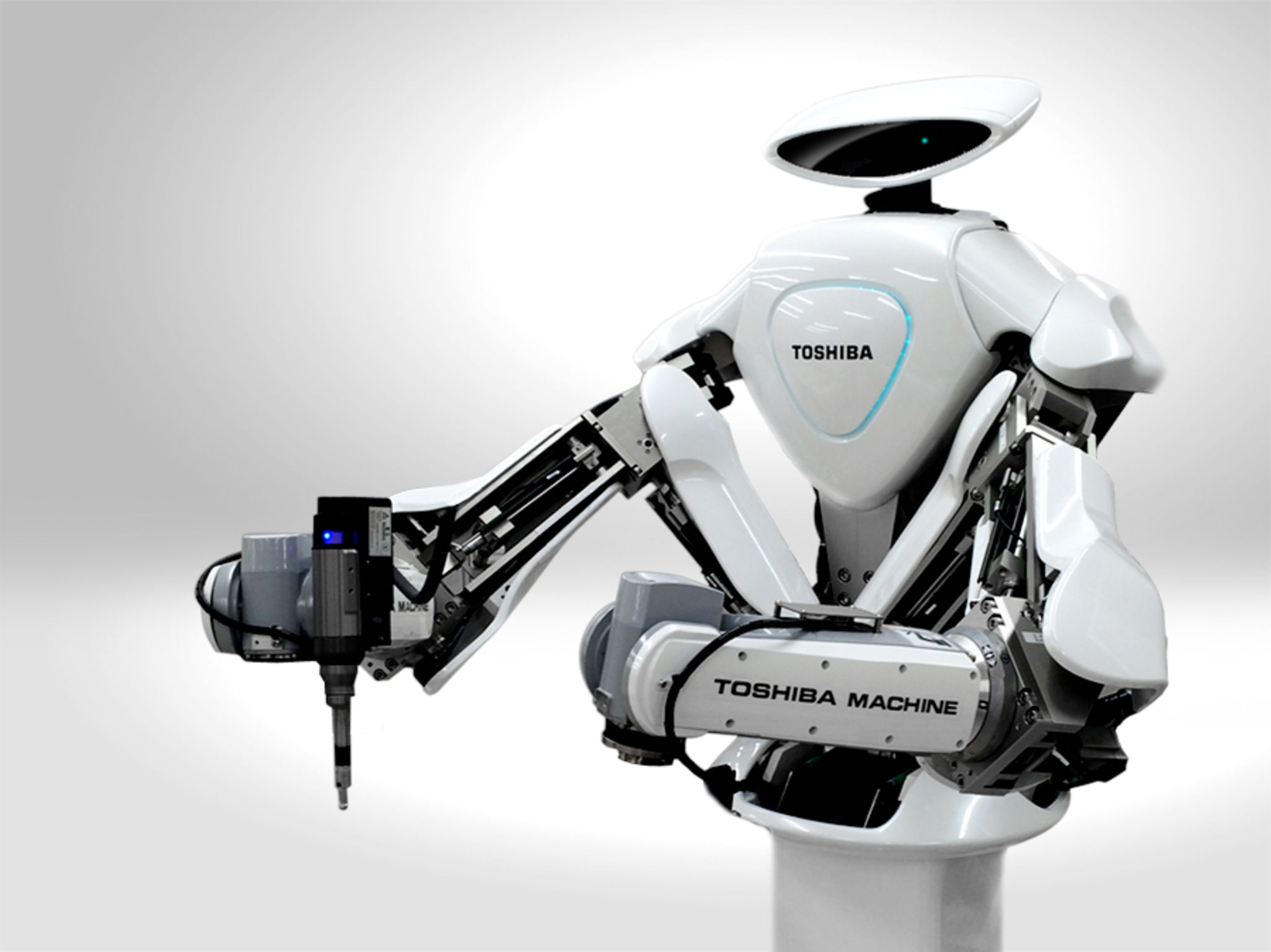 Hydraulic dual-arm robot