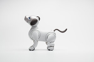 01_sony_aibo_small.jpg