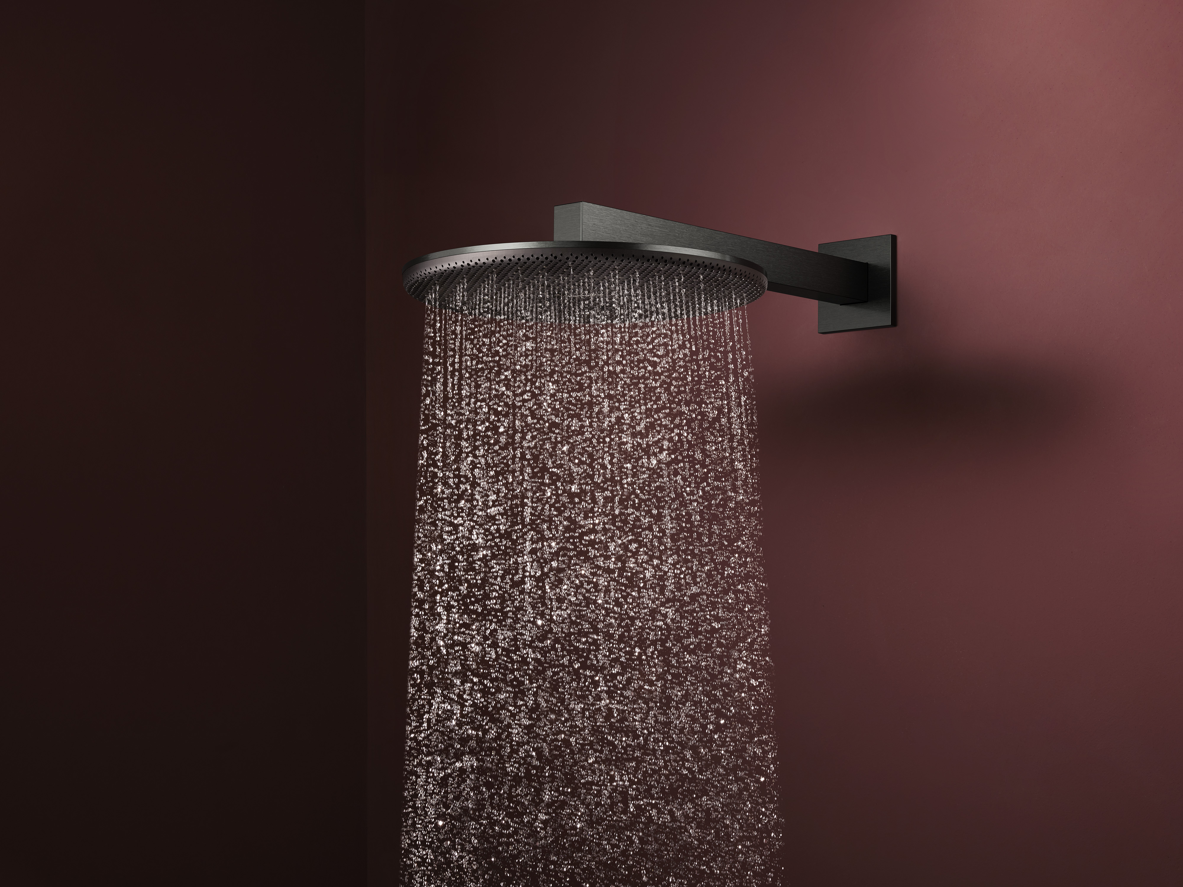 hansgrohe Raindance Alive