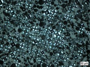 Verbundwerkstoff/composite material