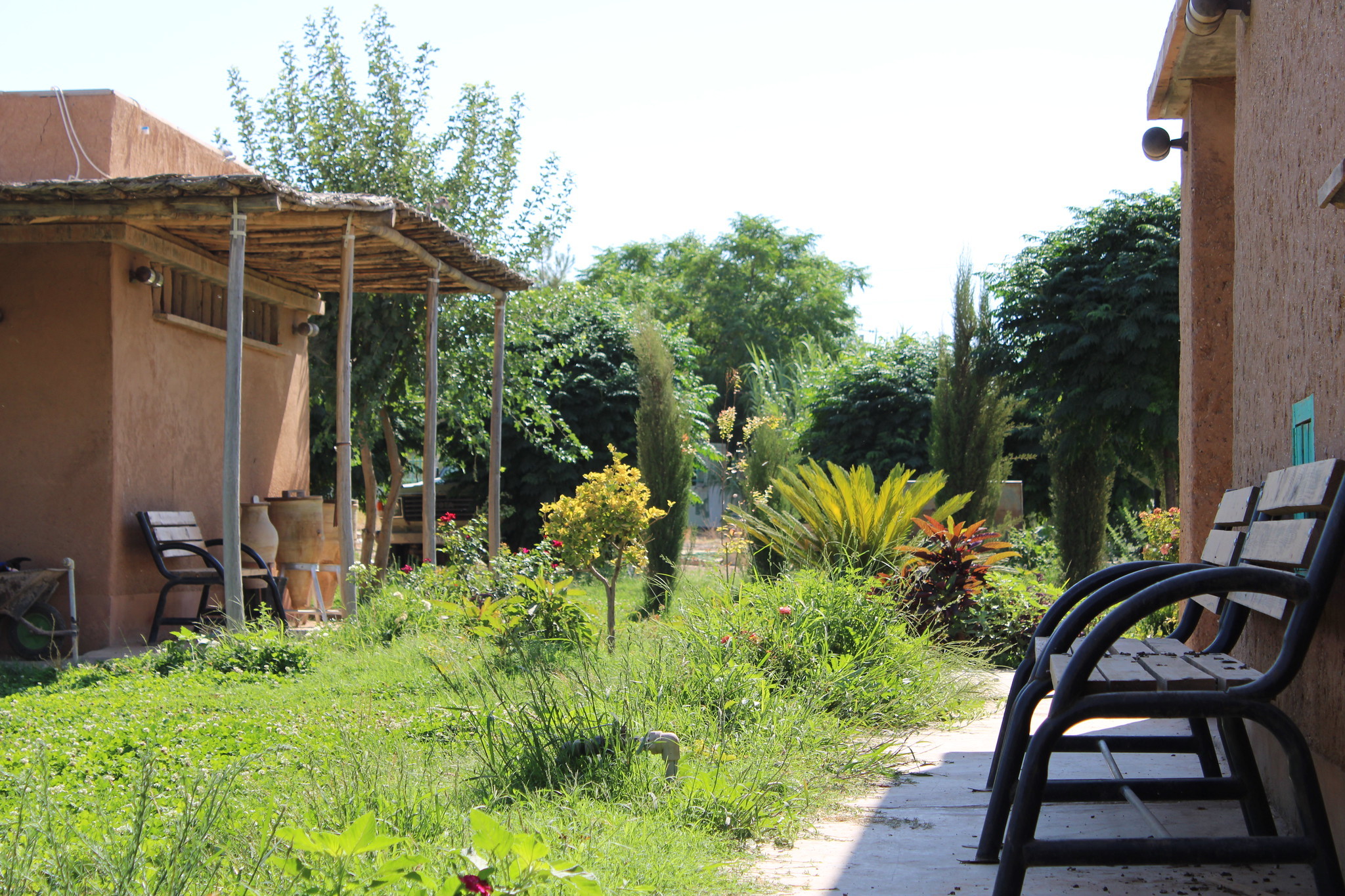 Healing Garden for Survivors of Trauma