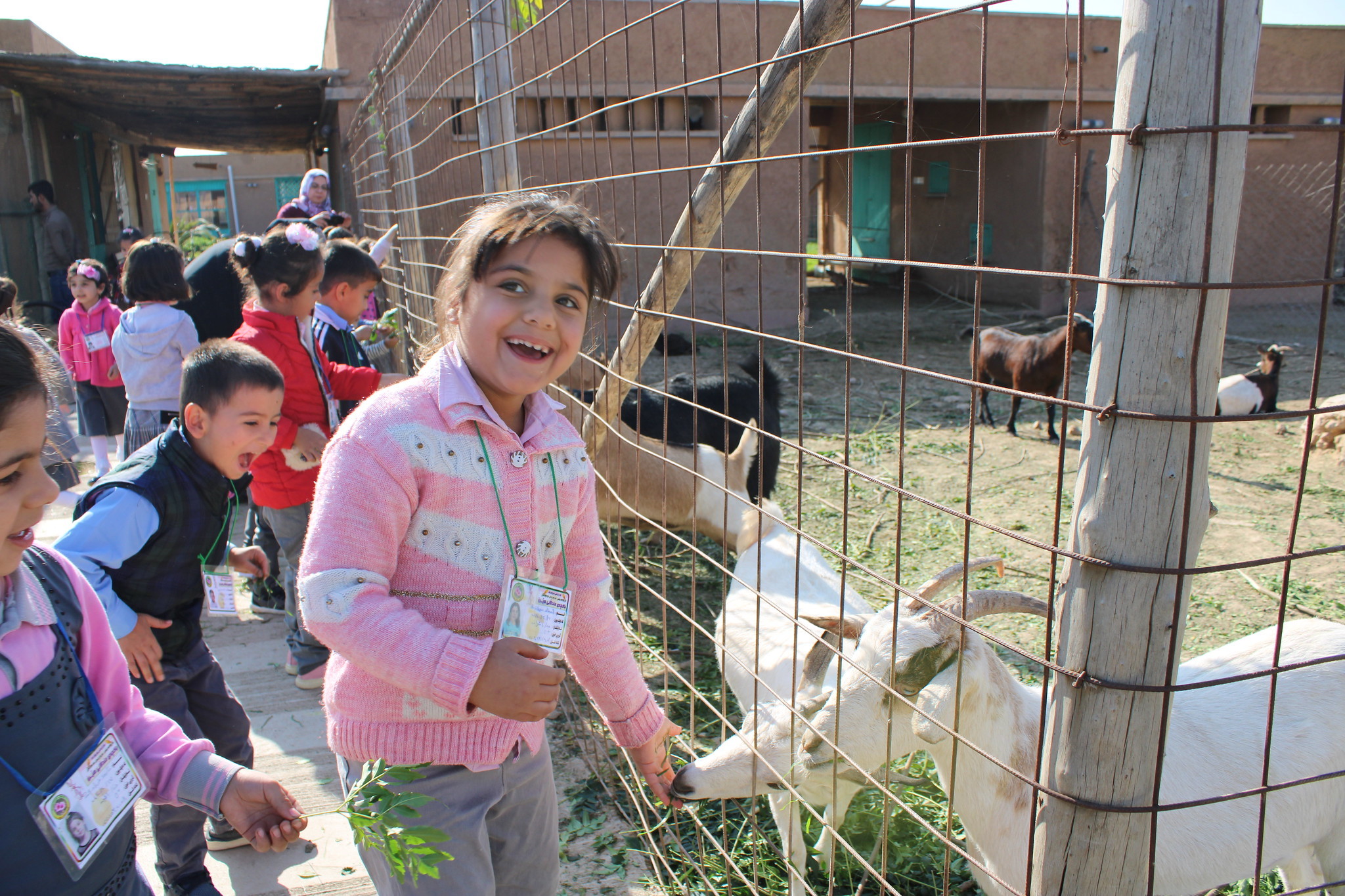Healing Garden for Survivors of Trauma