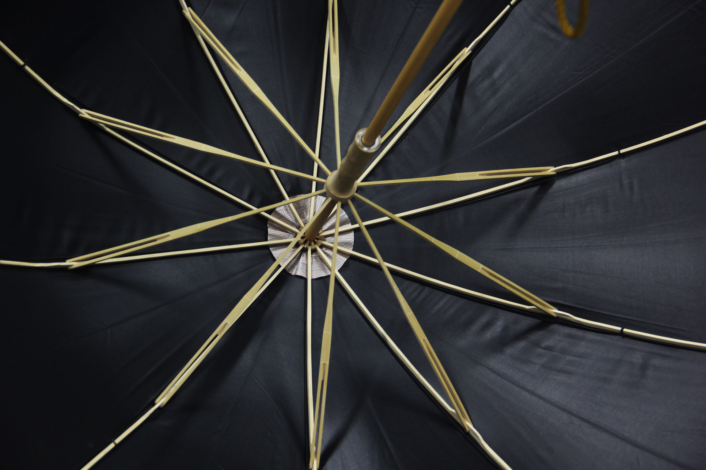 Silk & Bamboo Umbrella