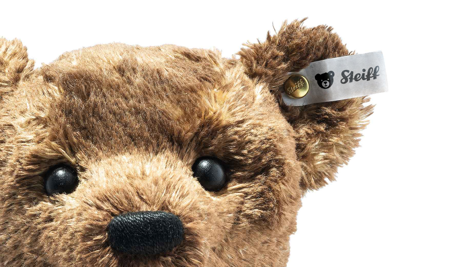 Steiff: Teddy's Creator