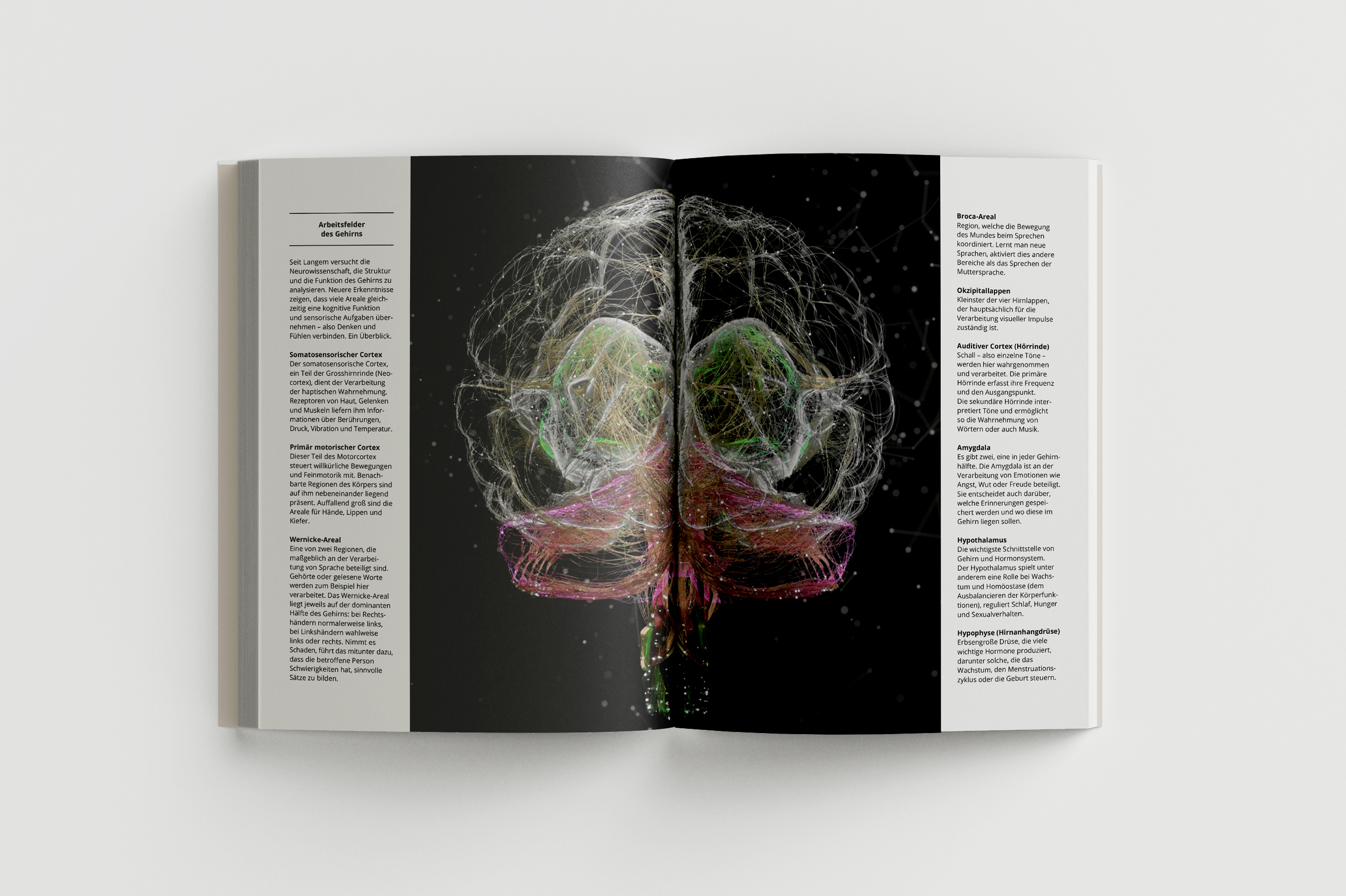 Sanitas Health Forecast Edition 2022
