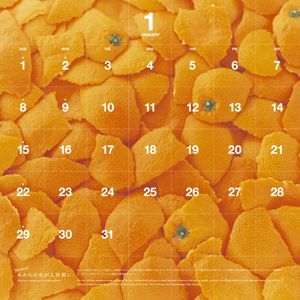 Waste Me Not Calendar 2006 Mottainai