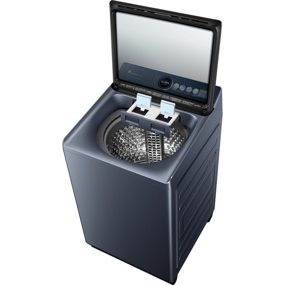 Little Swan Washing Machine