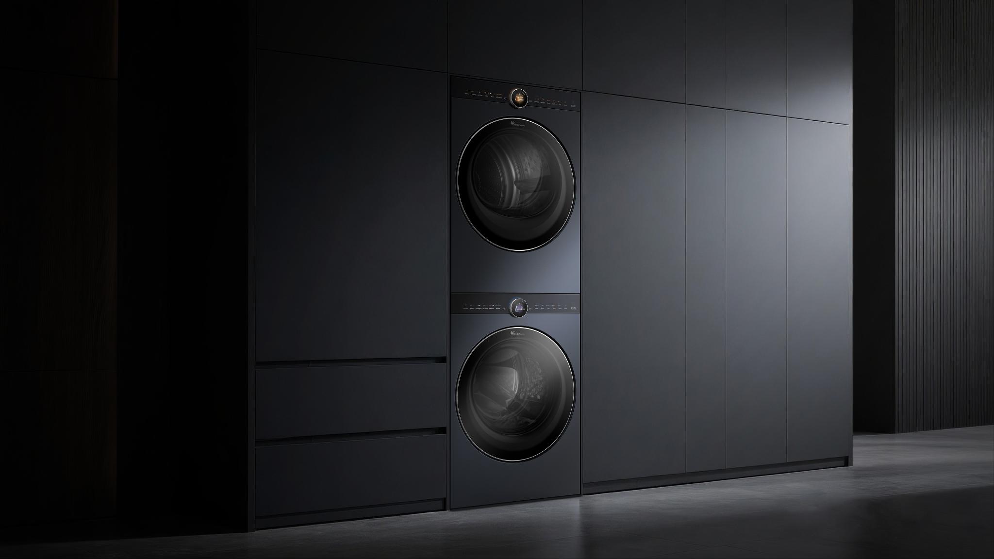 Little Swan Washing Machine