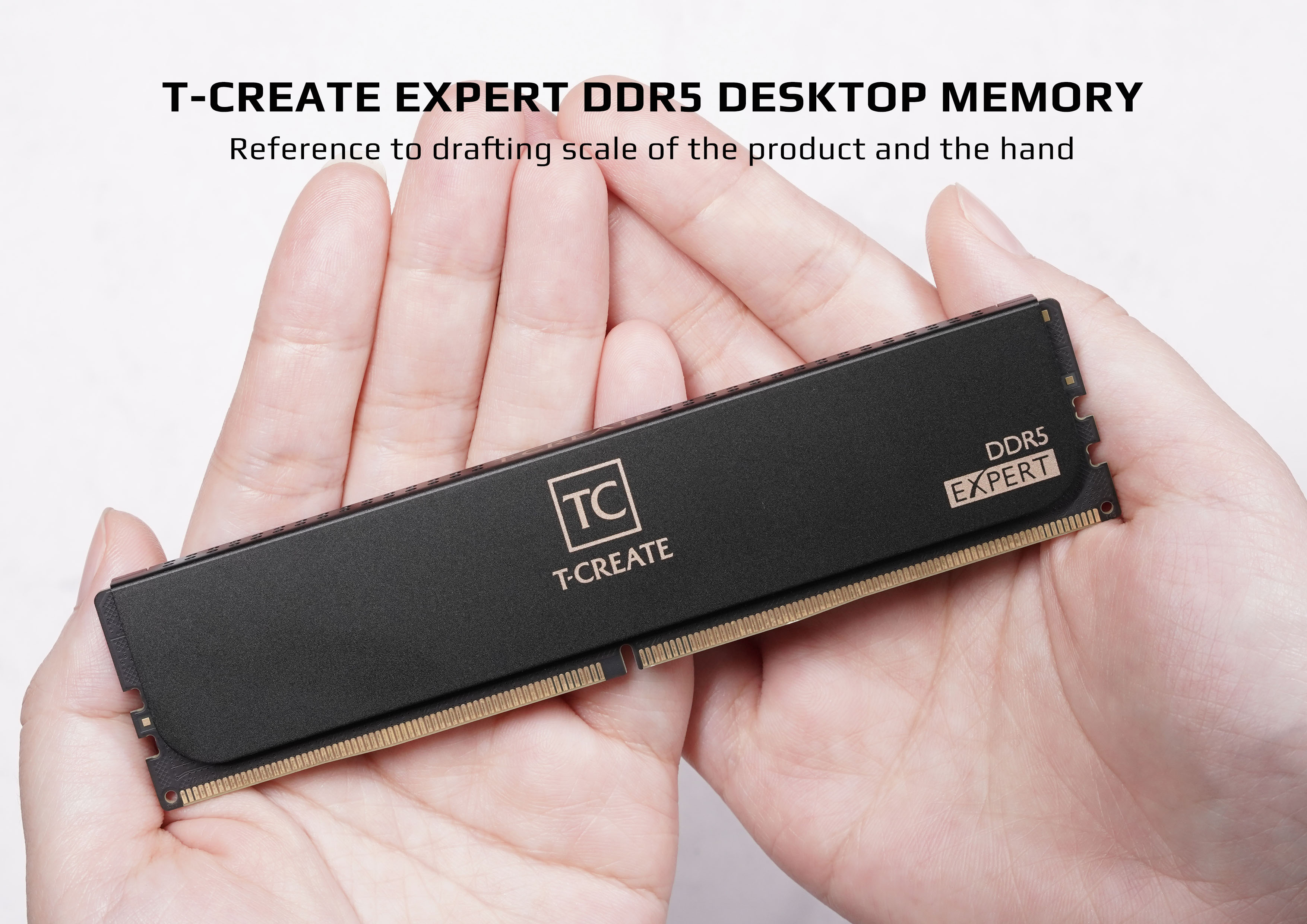 T-CREATE EXPERT DDR5