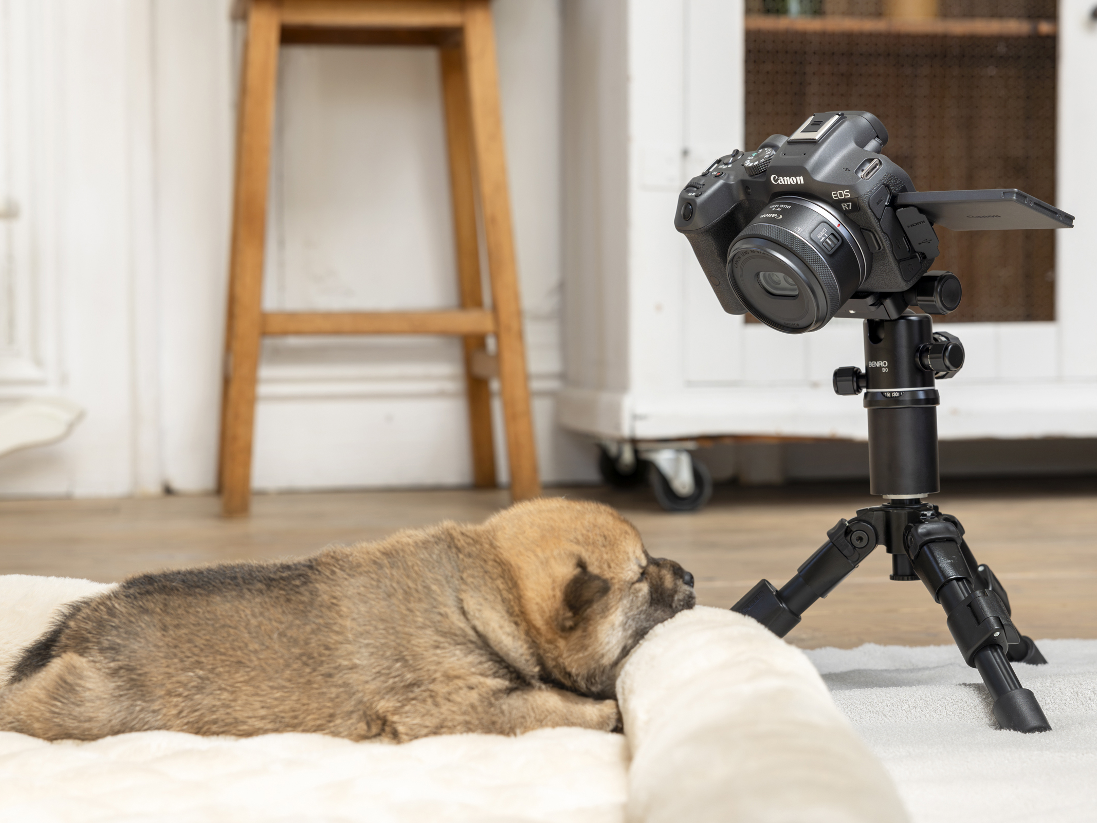 RF-S7.8mm F4 STM DUAL