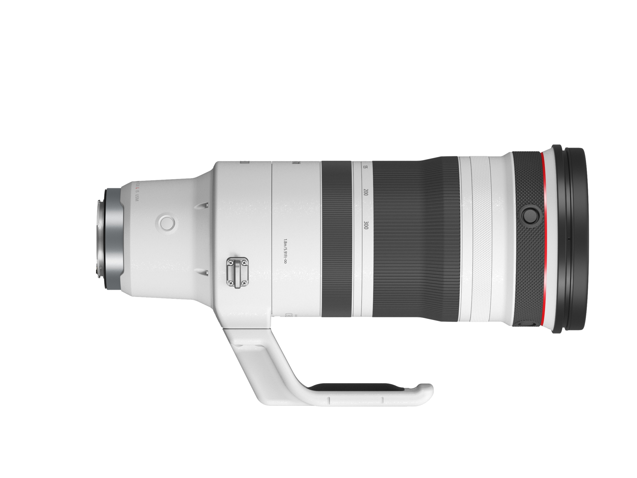 RF100-300mm F2.8 L IS USM