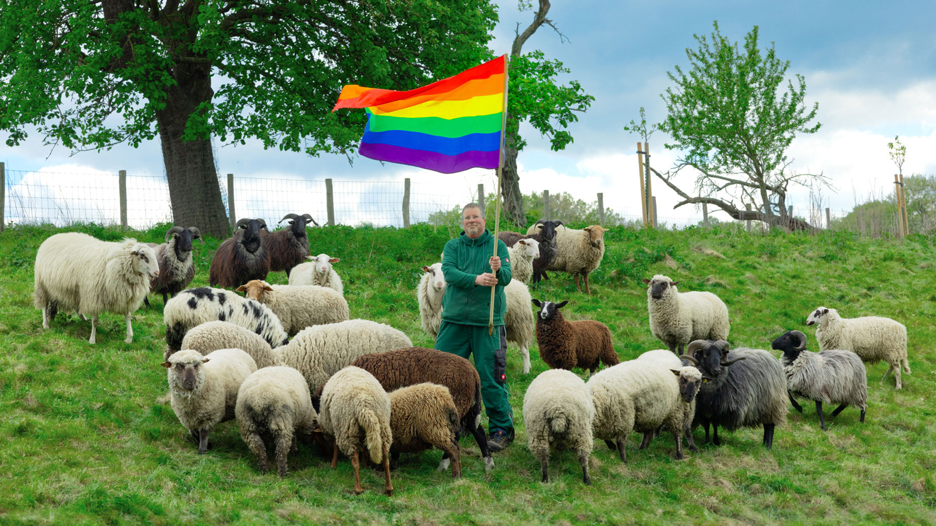 Rainbow Wool