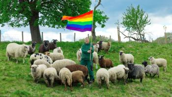 Rainbow Wool