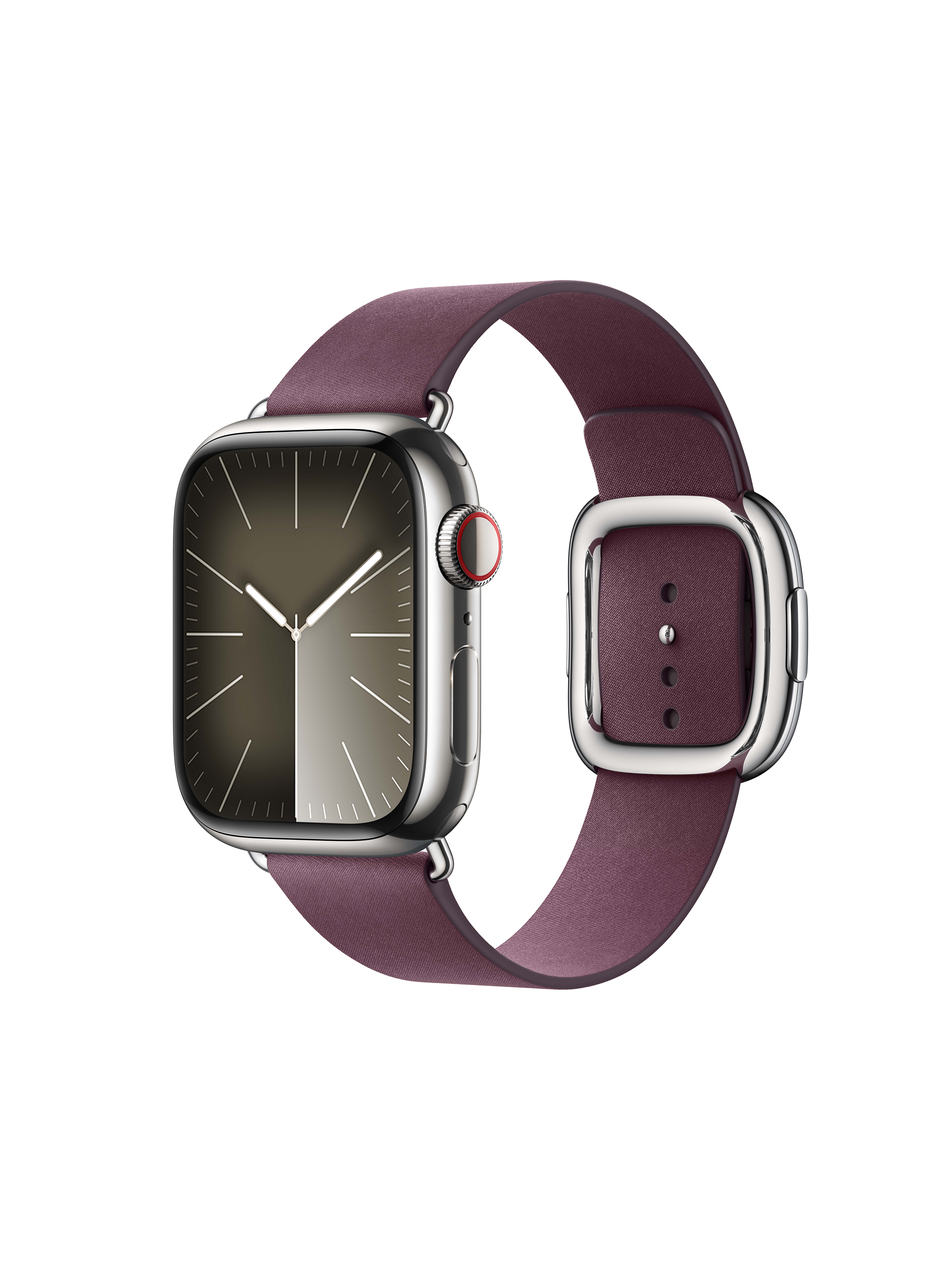 Apple Watch FineWoven Modern Buckle
