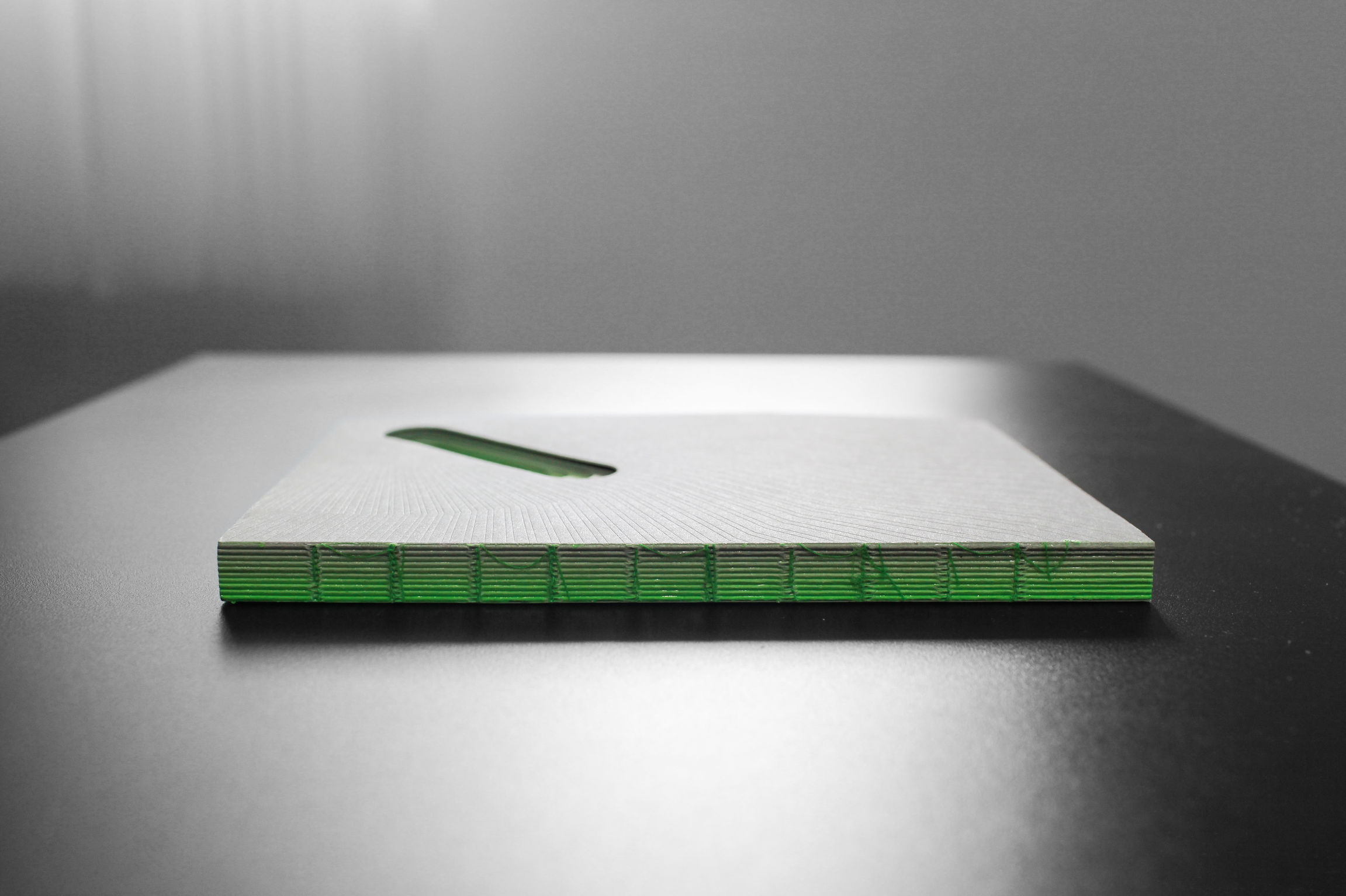 GreenLeader Notebook