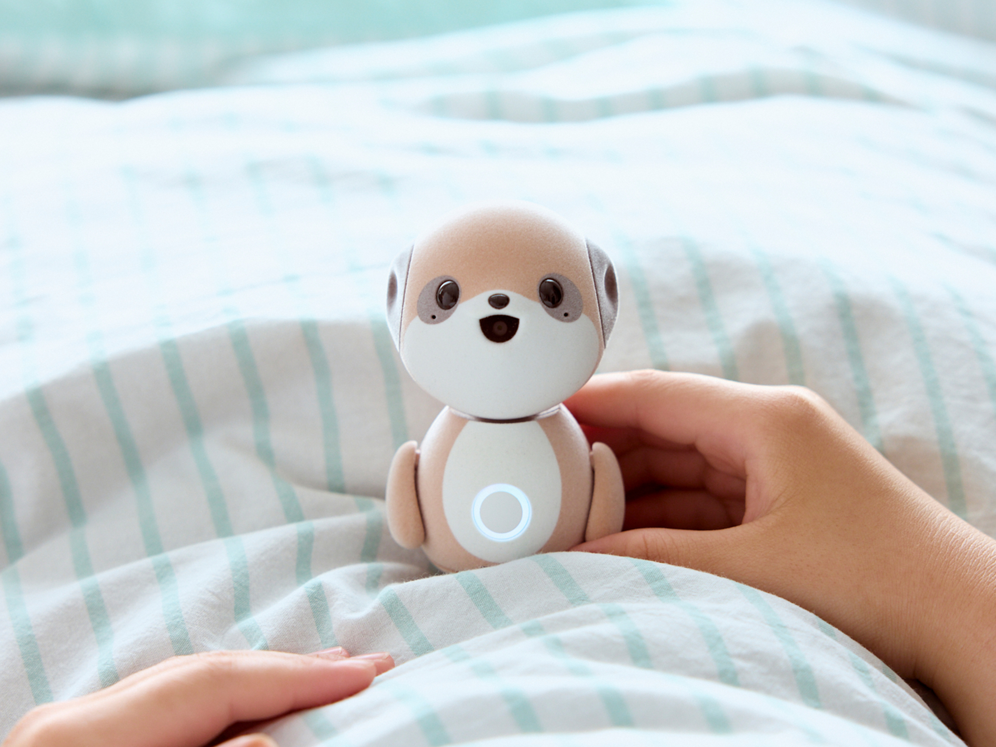 SHARP Companion Robot Series