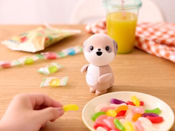 SHARP Companion Robot Series