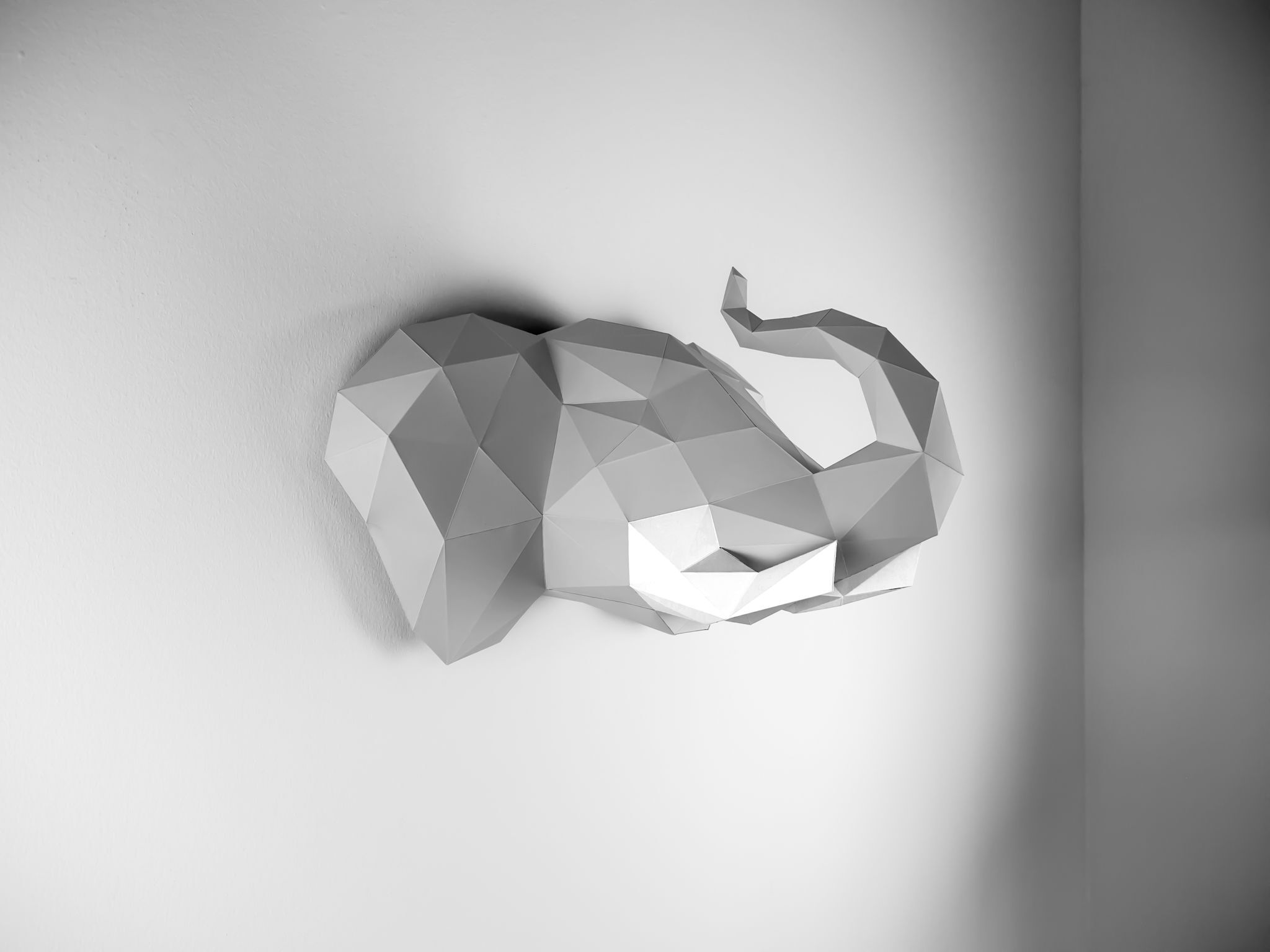 PAPERTROPHY