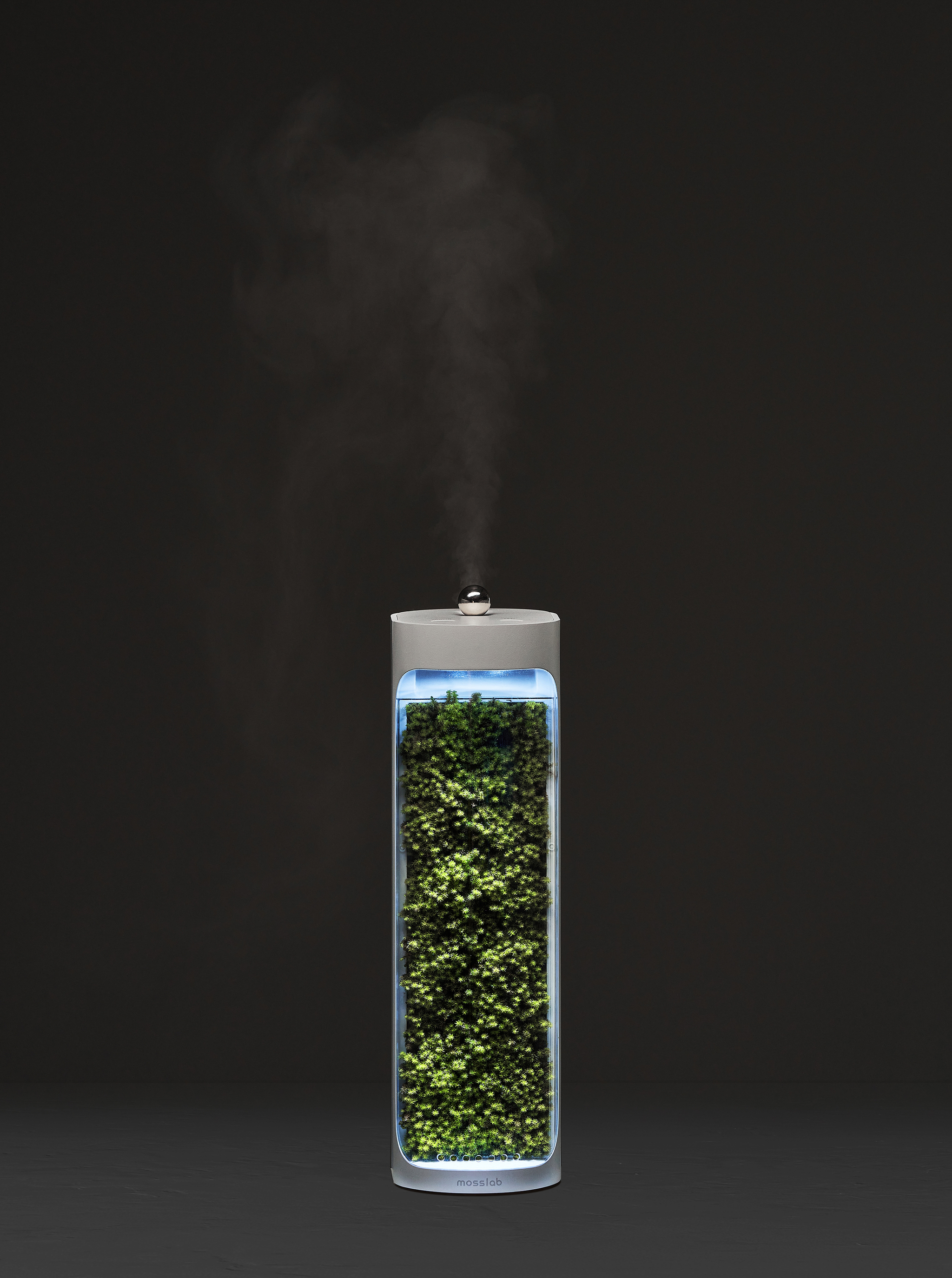 Moss Air