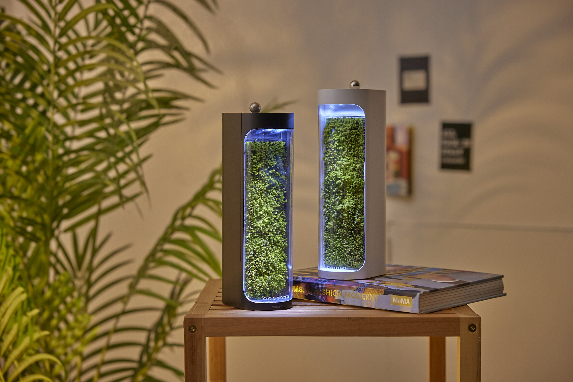 Moss Air