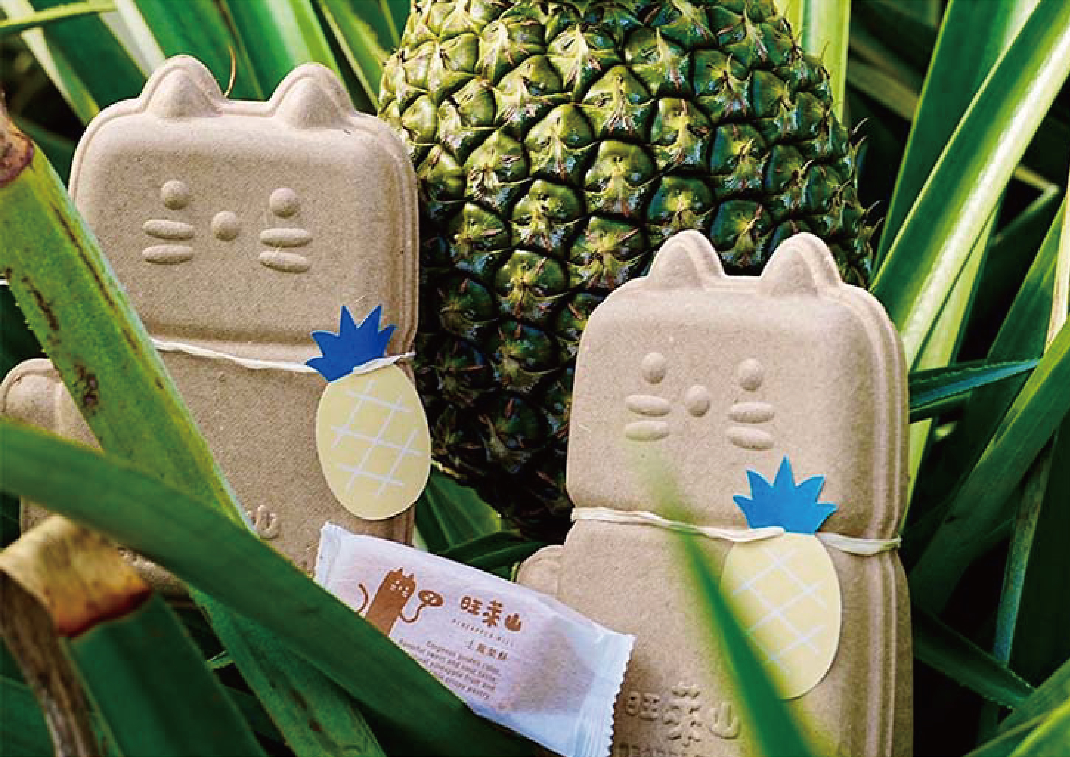 Pineapple Fiber-recycled paper pulp packaging