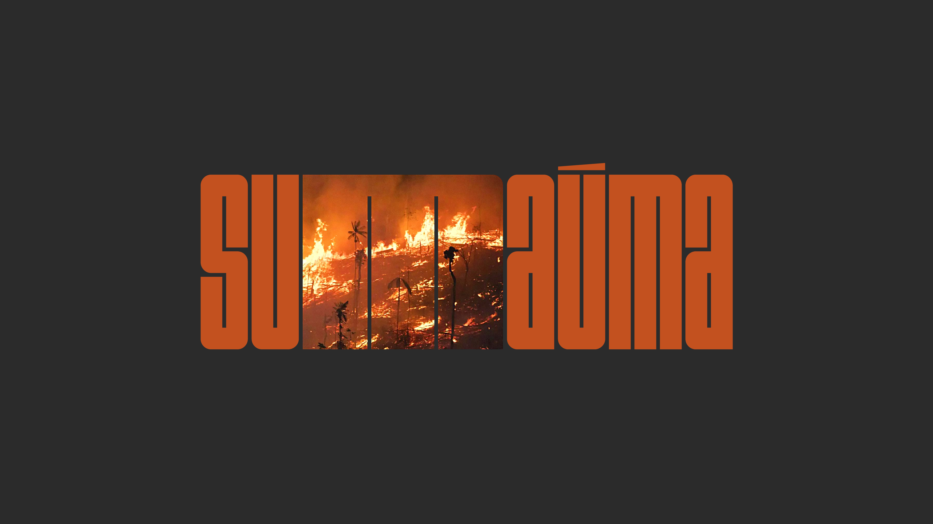 Sumauma - giving a voice to the Amazon Rainforest
