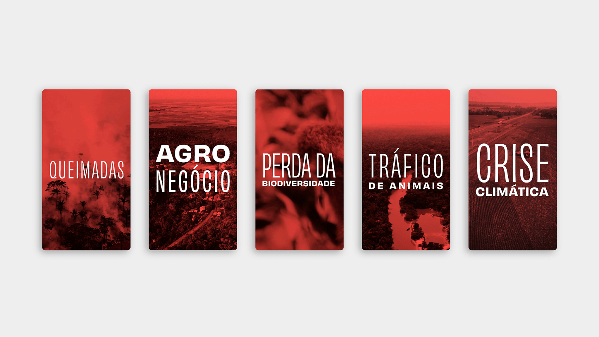 BR-163: Progress for whom?