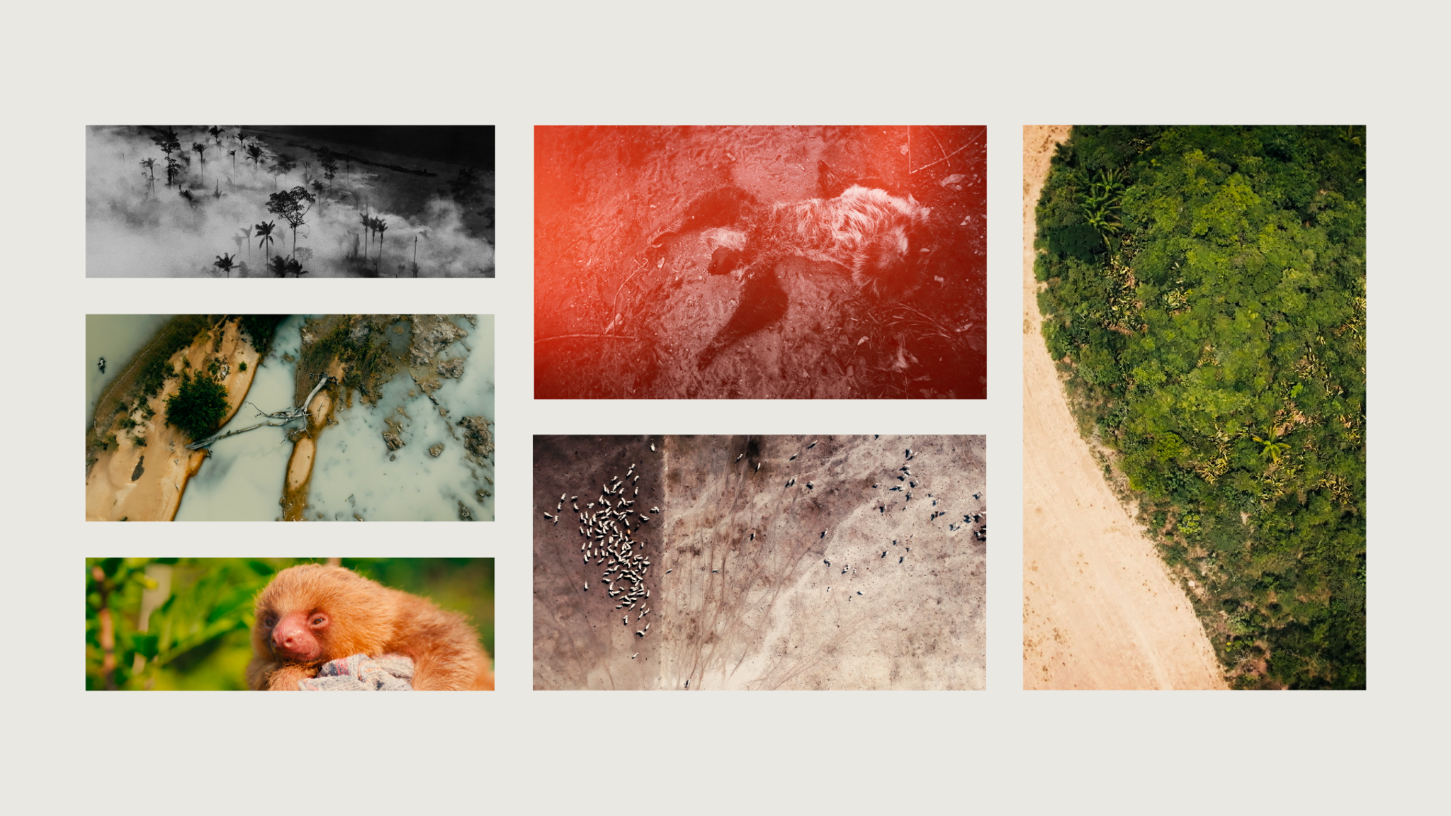 BR-163: Progress for whom?