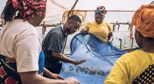 The Fish Farm Project