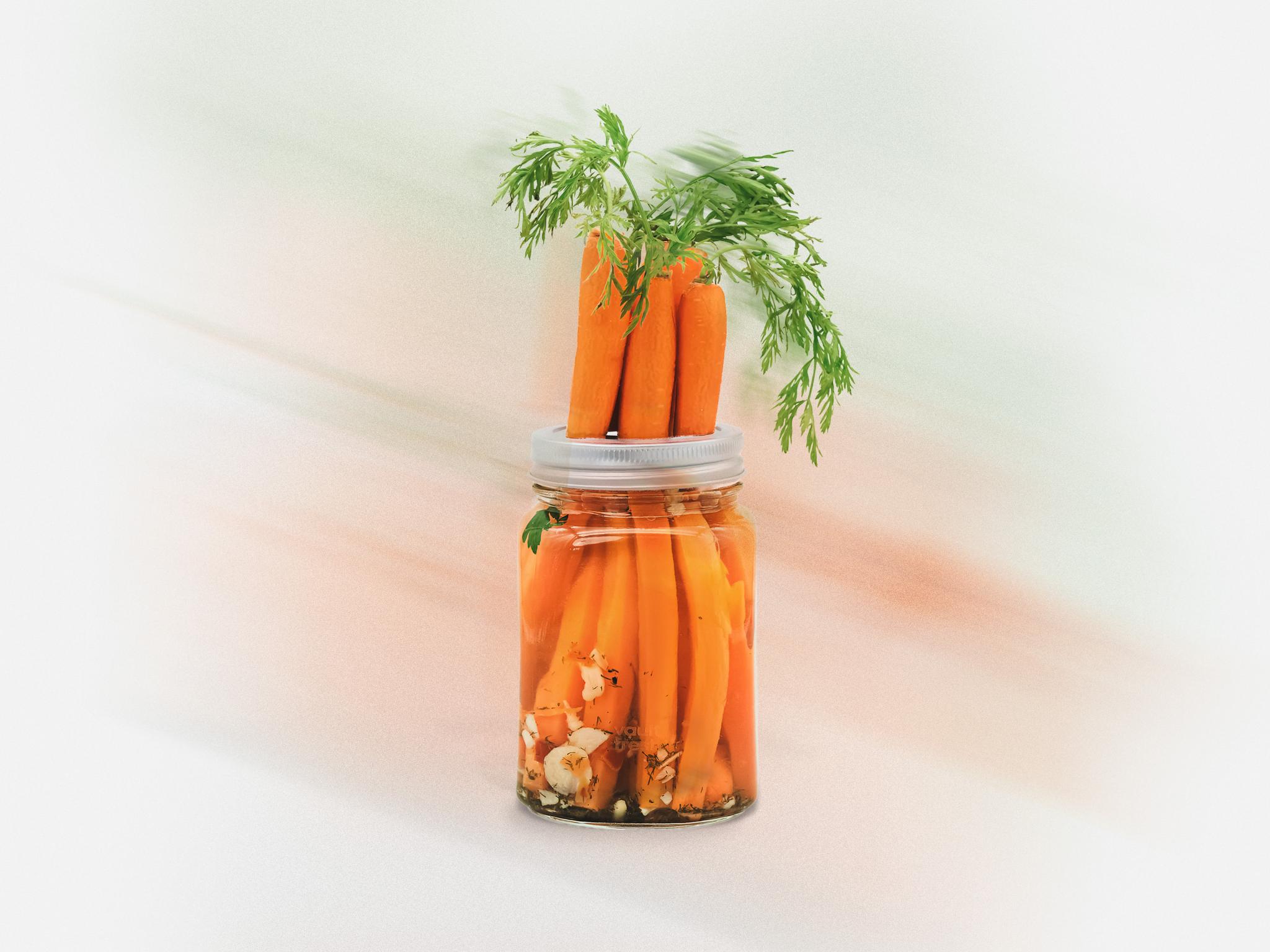 VaultFresh Vacuum Series