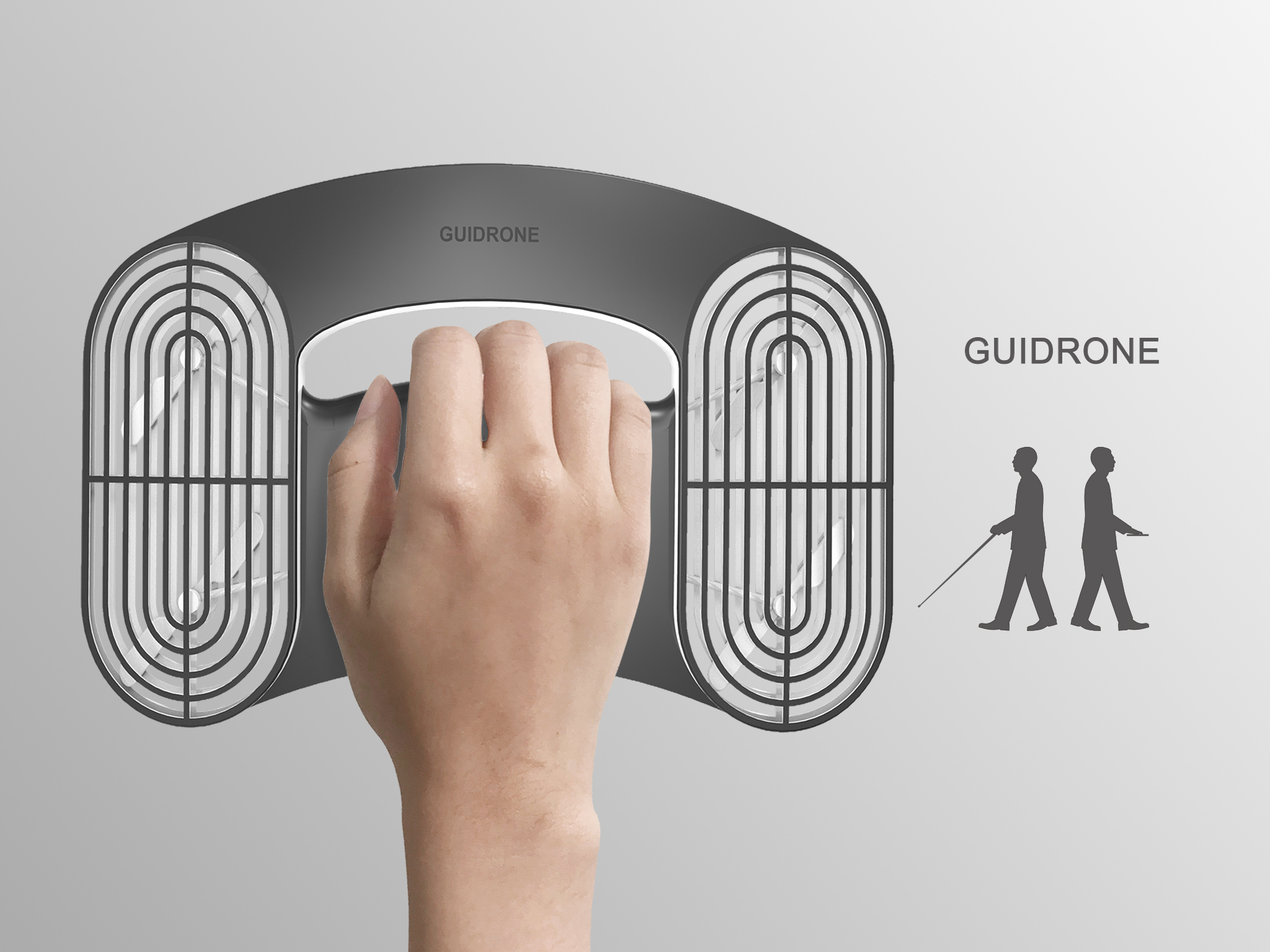 Guidrone
