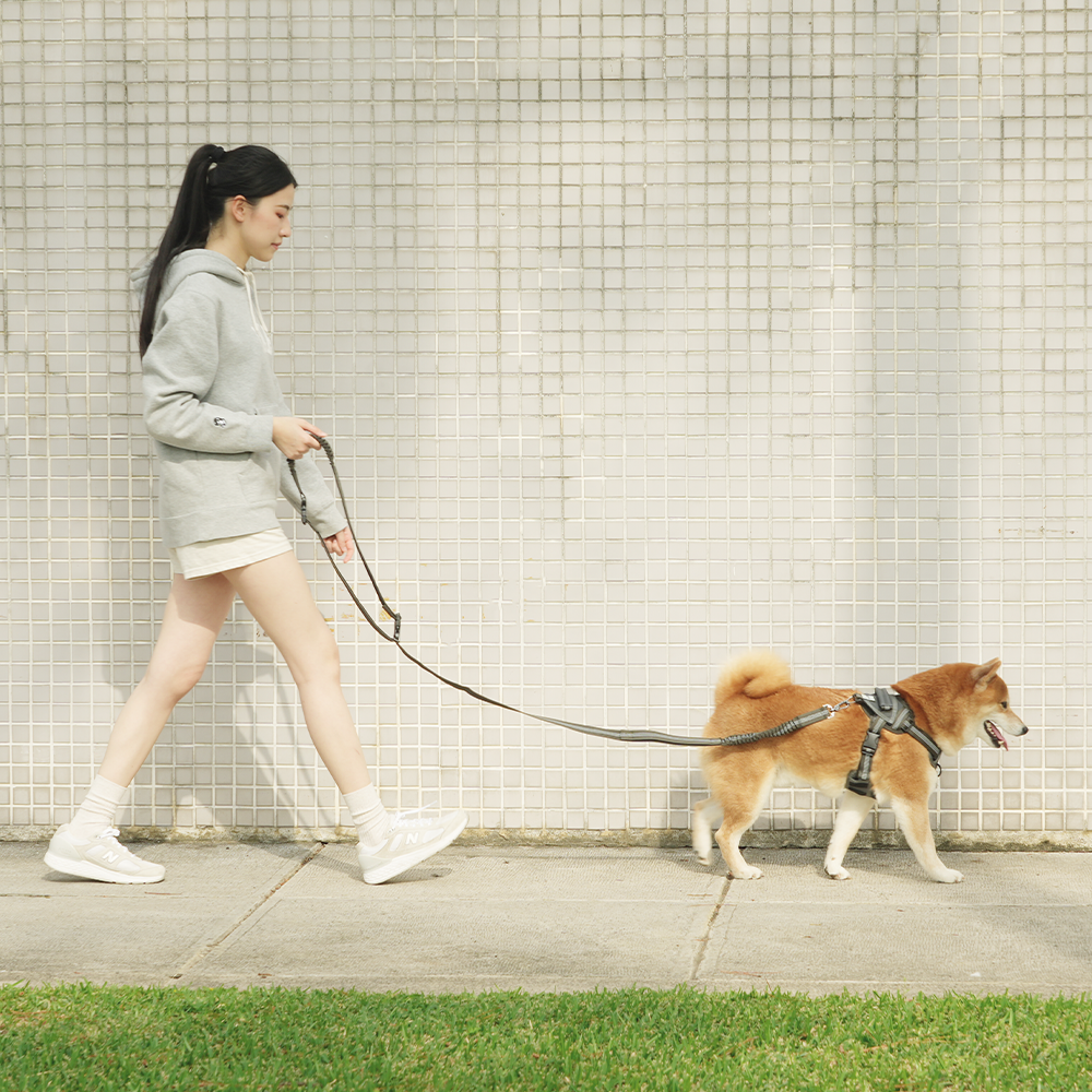 GRAVITY BUNGEE Dog Leash