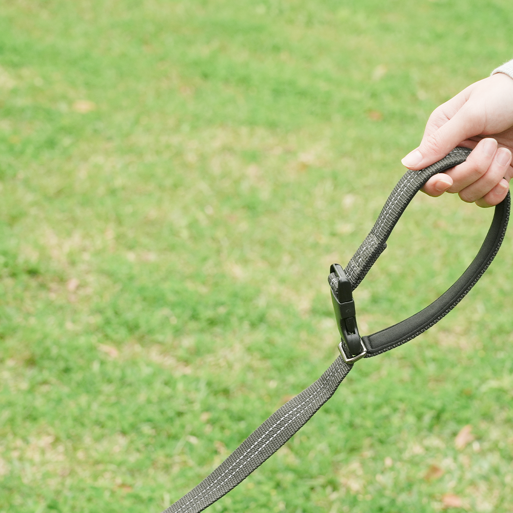 GRAVITY BUNGEE Dog Leash