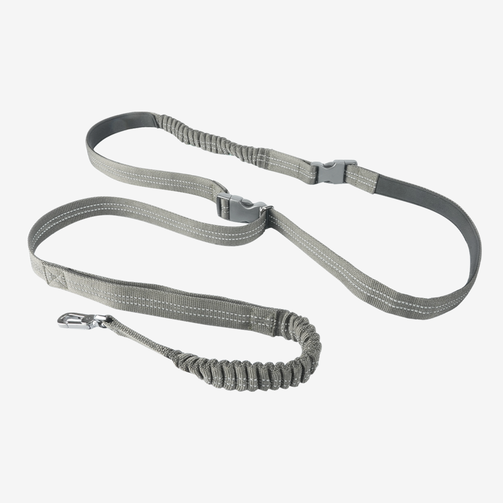 GRAVITY BUNGEE Dog Leash