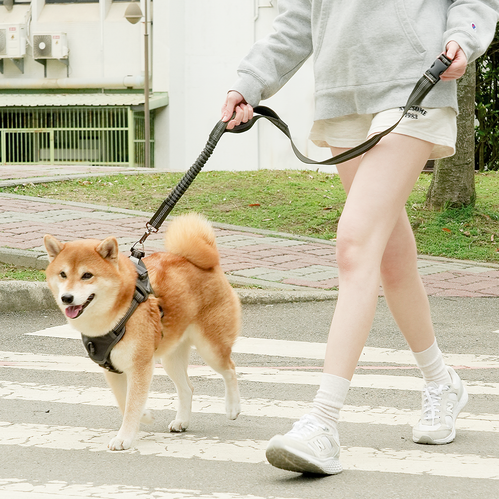 GRAVITY BUNGEE Dog Leash