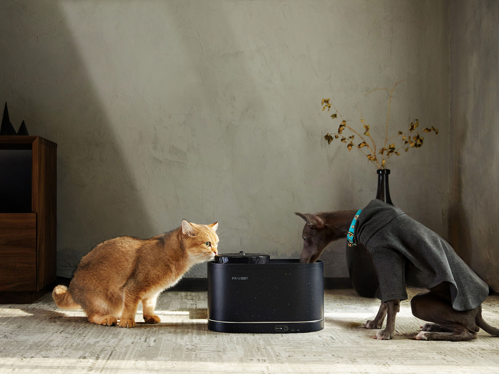 Pawbby Smart Pet Water Fountain
