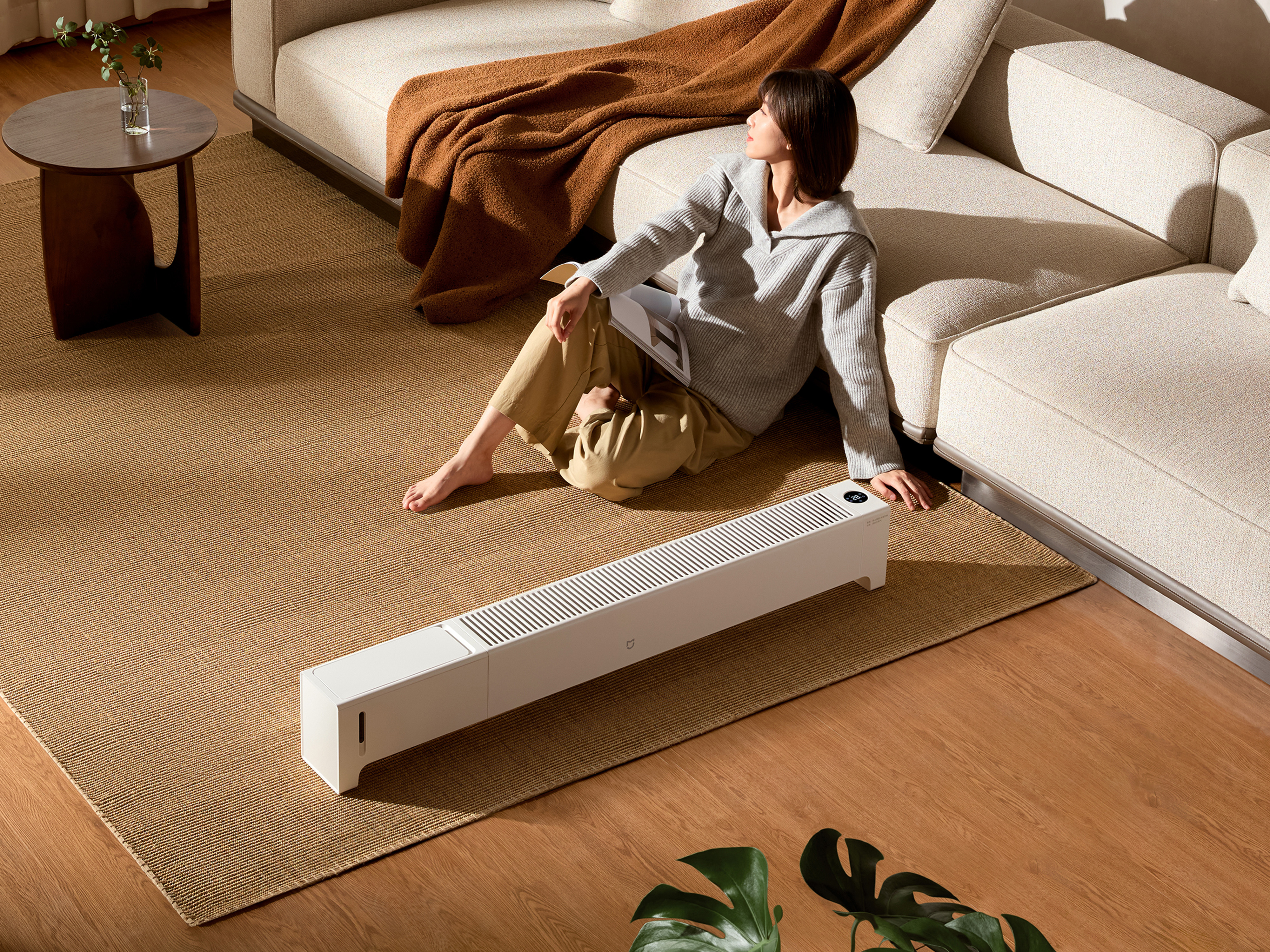 Mijia Graphene Baseboard Heater 2 (Humidification)