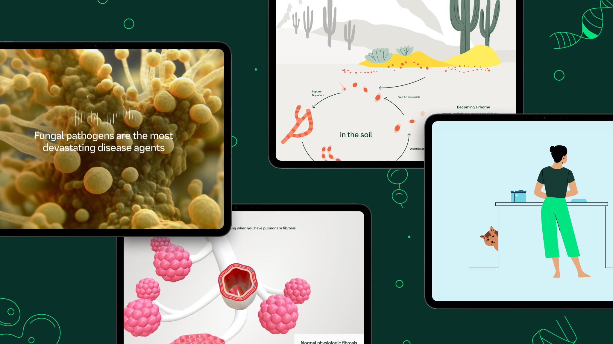 Boehringer Ingelheim Annual Report 2024