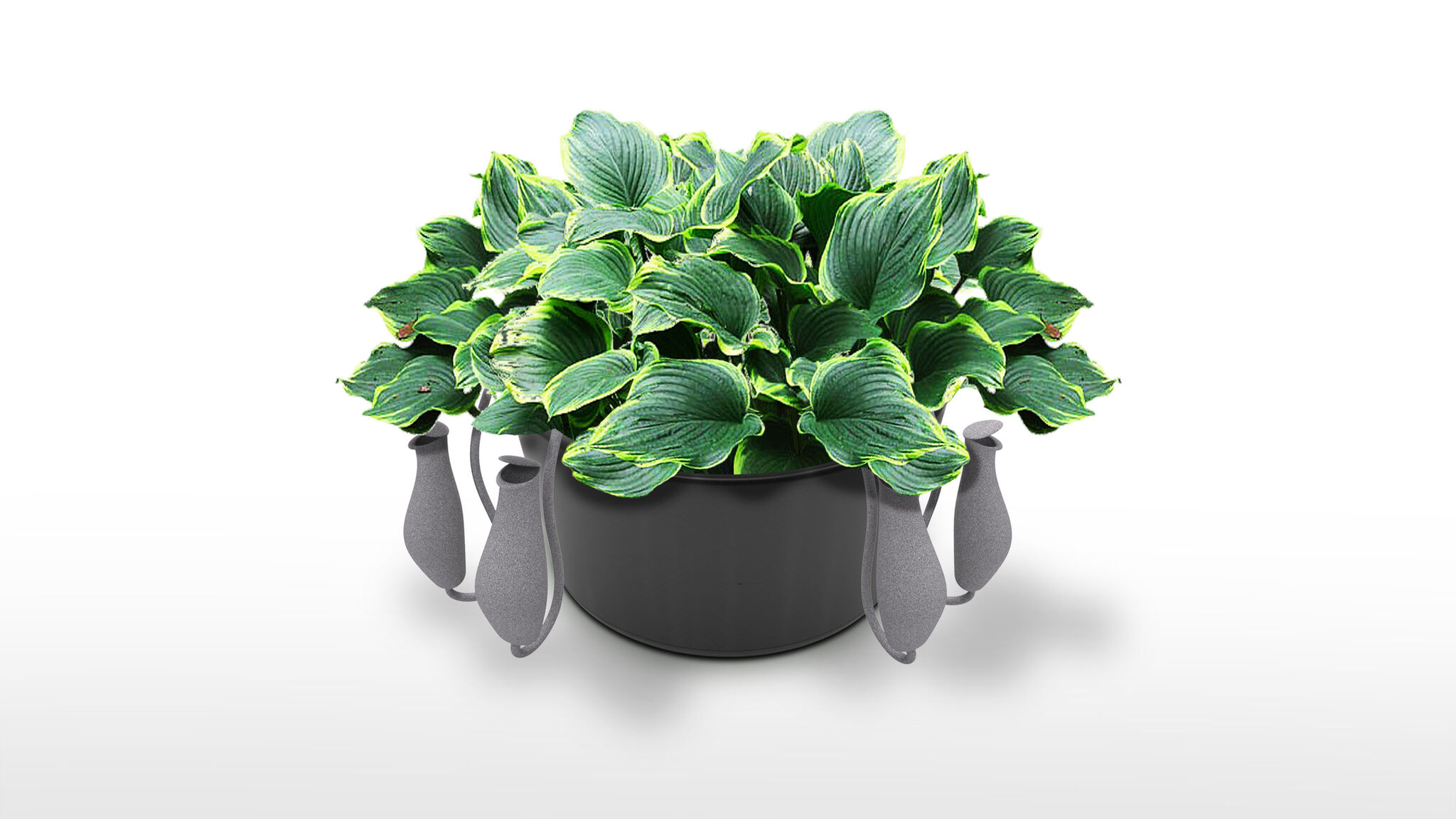 Bionic Nepenthes Insect Trap