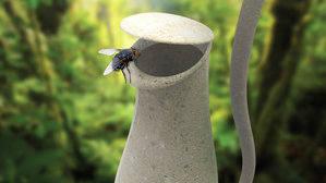 Bionic Nepenthes Insect Trap