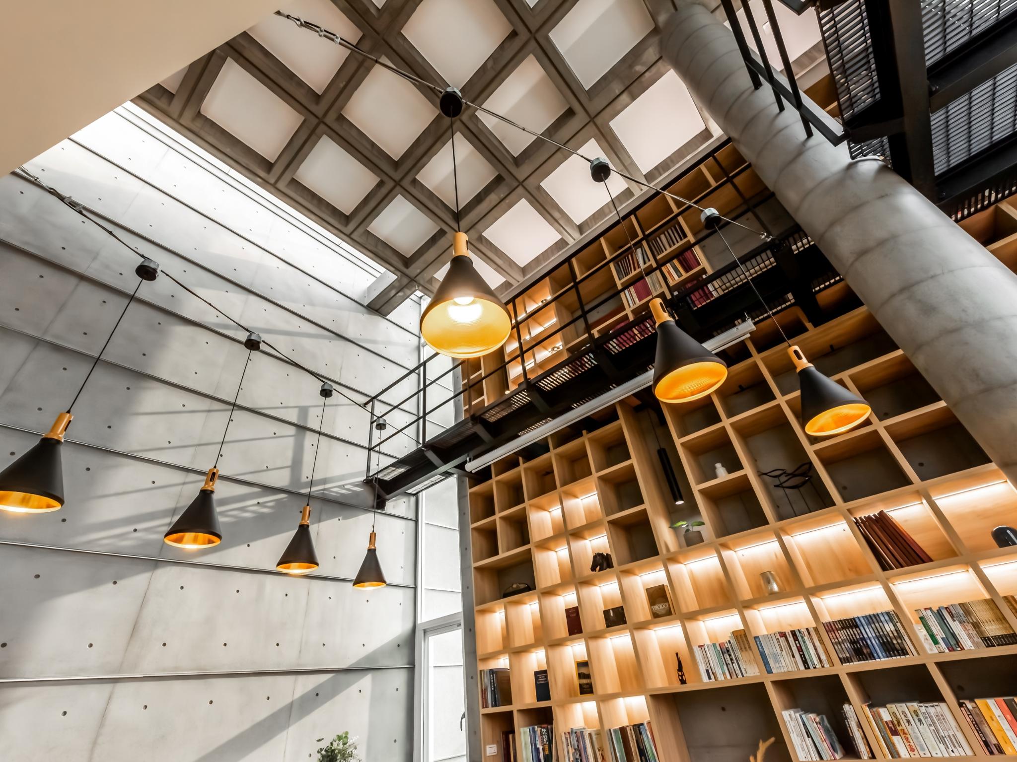 Forest Living, Cozy Reading