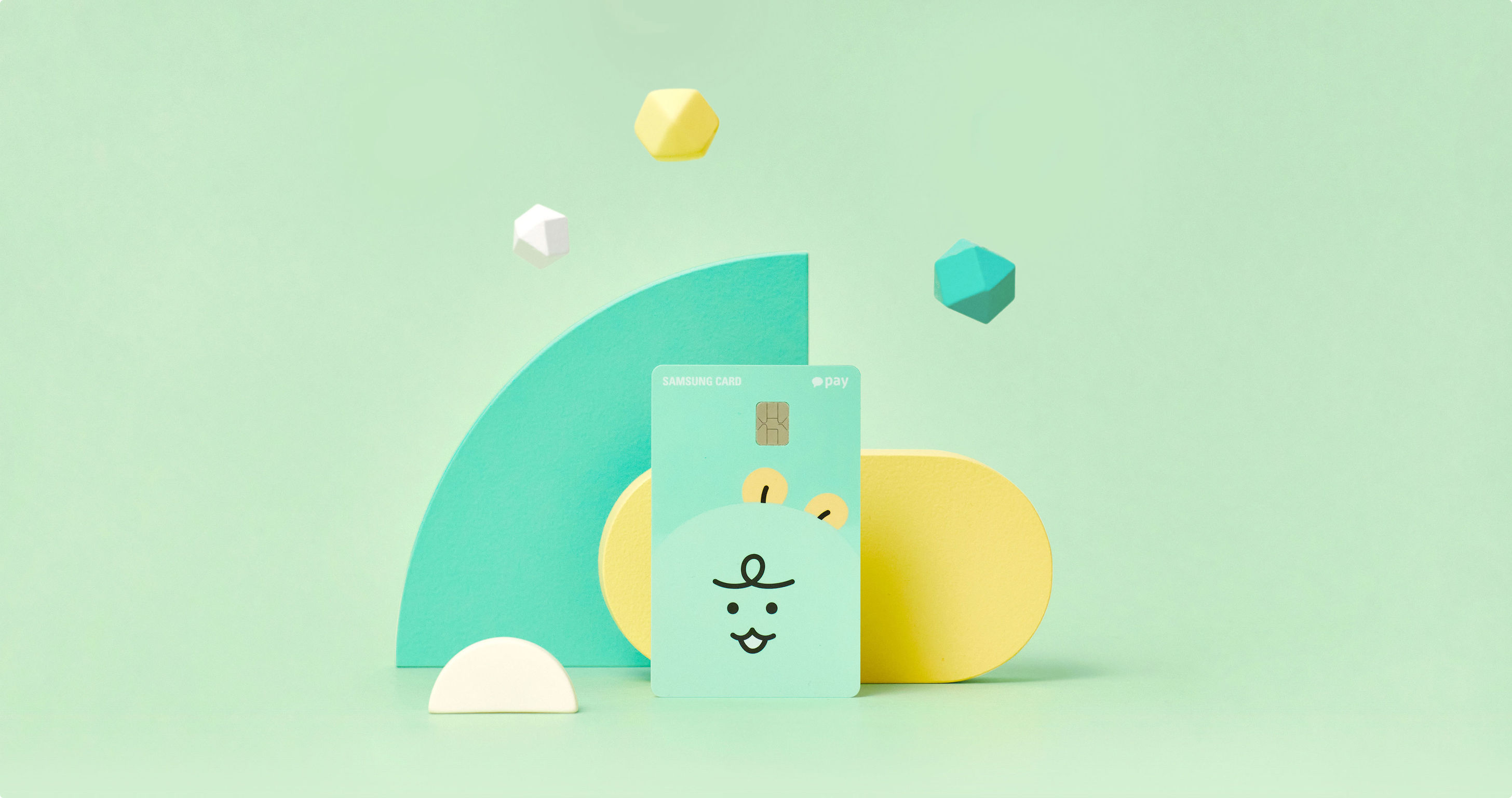 Kakao Pay private label credit card