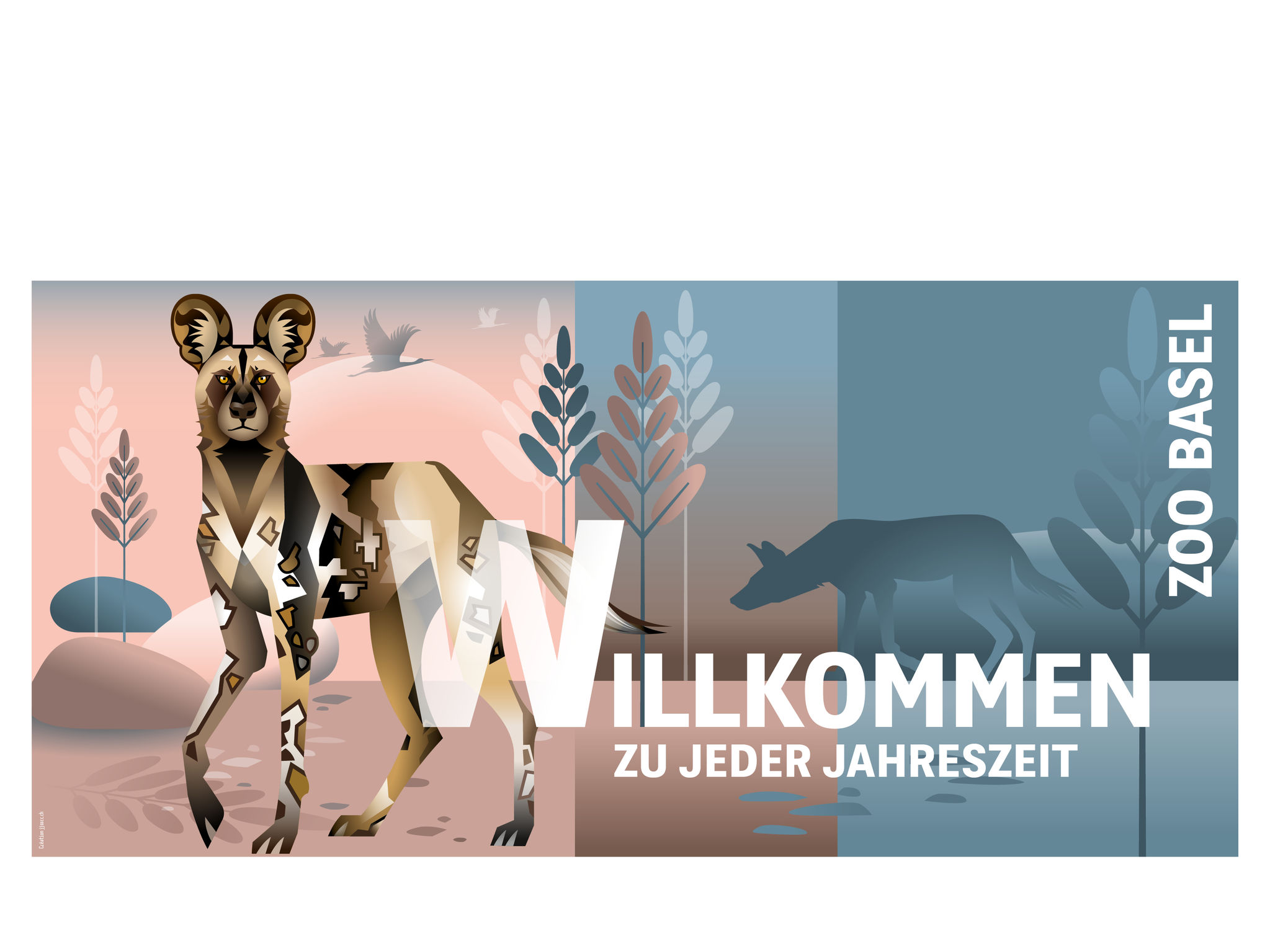Zoo Basel Advertising Campaign