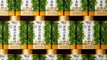 XINJIHAO·BINGDAOXIAOQINGGAN TEA