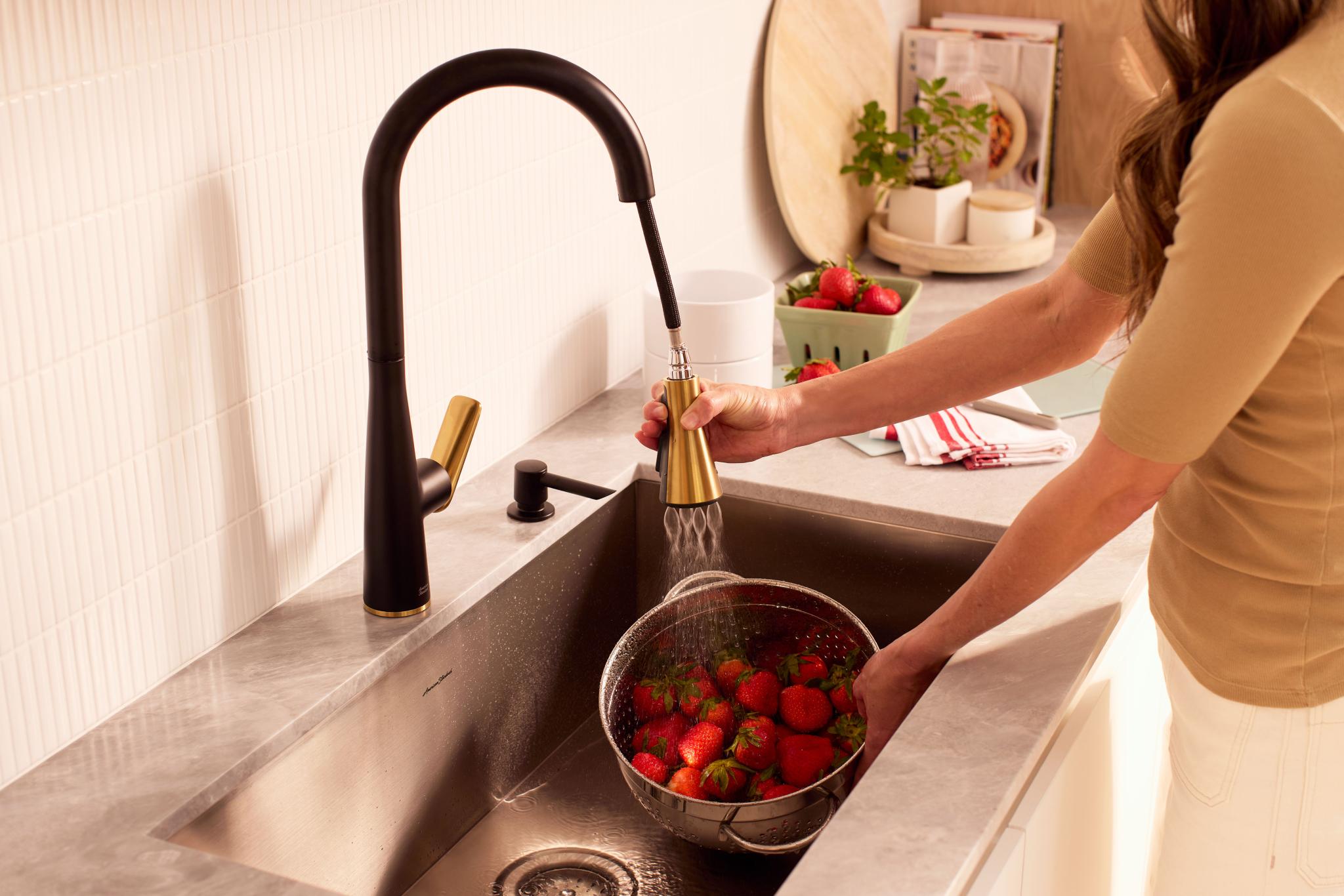 The Aspirations Kitchen Faucet Collection