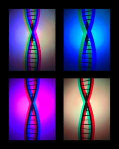 The DNA of the light